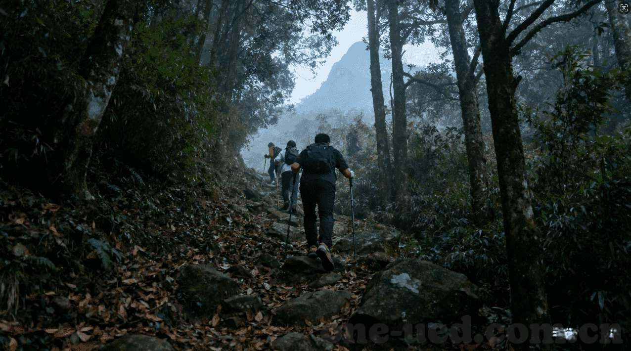 世界杯竞彩让一球-世界杯竞彩让一球，策略、风险与机遇